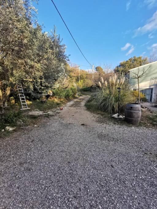 Entre Ventoux Et Luberon, Appartement Dans Maison. Malemort-du-Comtat Exteriör bild