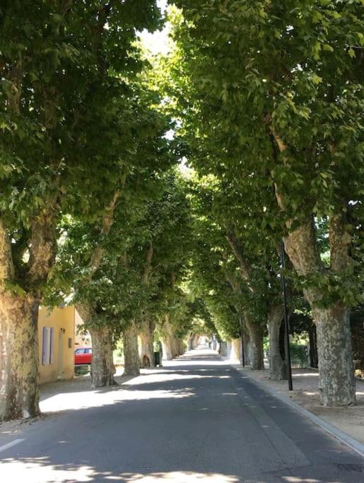 Entre Ventoux Et Luberon, Appartement Dans Maison. Malemort-du-Comtat Exteriör bild